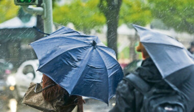 Jornal de Notícias Logo