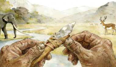 Misteriosas armas descobertas na China podem, afinal, não ter sido feitas pelo Homo sapiens