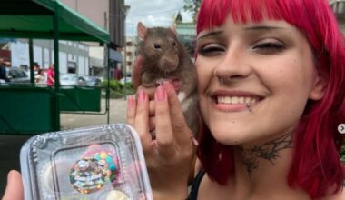 Rato twister mascote impulsiona venda de brigadeiros em SC