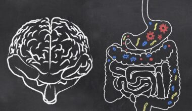 O segredo da inteligência humana pode estar no seu intestino