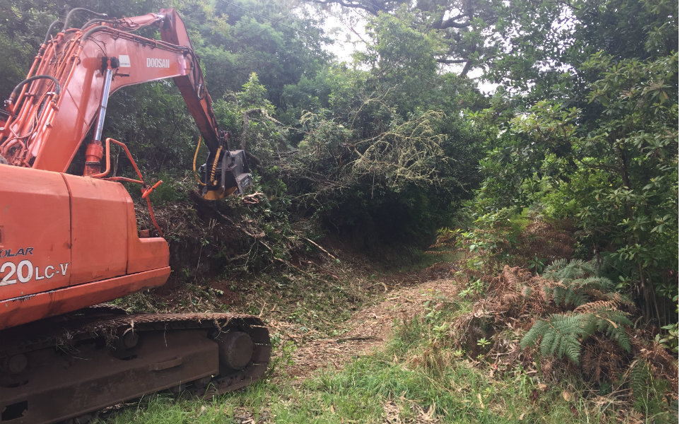 Ministério da Agricultura lança apoio de 12,1 milhões de euros para compra de máquinas para gestão florestal