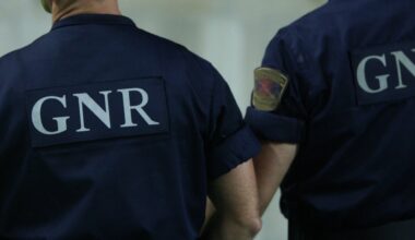 GNR detém dois homens por caça ilegal em Alandroal e Felgueiras