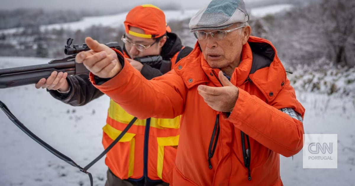 Estes ursos e estes humanos não conseguem coexistir. E as coisas estão a tornar-se mortais
