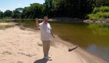 Ratinho pode morar em Santa Catarina? Entenda