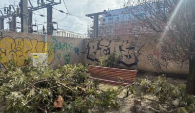 porque as casas de madeira resistem ao vento e às tempestades