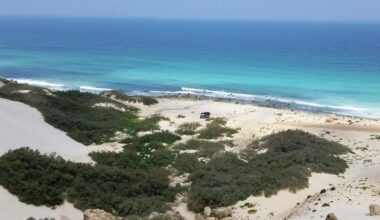 Jornal de Notícias Logo