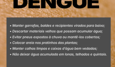 Município alerta sobre o primeiro caso confirmado da dengue - Notícias