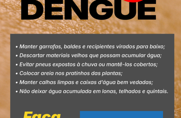 Município alerta sobre o primeiro caso confirmado da dengue - Notícias