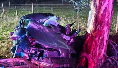 Jornal de Notícias Logo