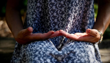 Jornal de Notícias Logo