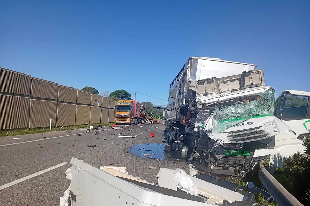 Acidente na A1 entre Aveiro Sul e Mealhada provoca fila de 16 quilómetros