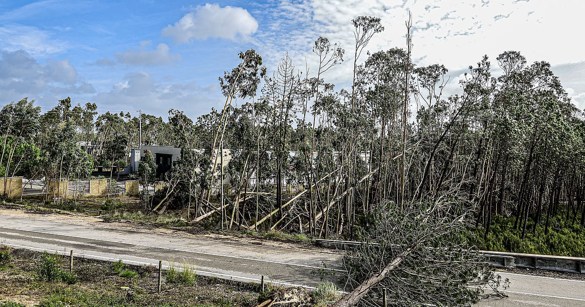 Ferreira do Zêzere pede estado de calamidade após depressão Kristin