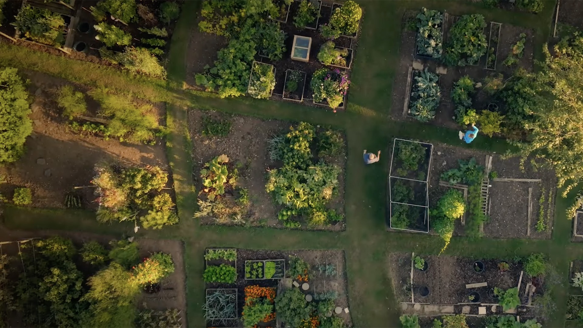 Imagens do documentário do Rei Charles III com o Prime Video - Foto: Reprodução / YouTube