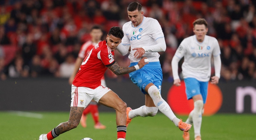 Benfica negocia com Nápoles e quer Lorenzo Lucca para reforçar ataque