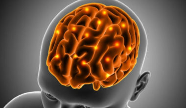 o estudo que explica por que vemos o que não existe