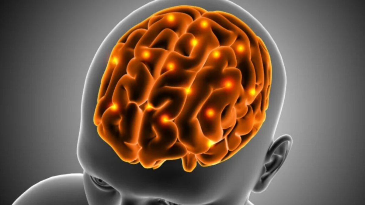 o estudo que explica por que vemos o que não existe