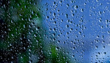 Chuva e vento marcam previsão para esta segunda-feira. Saiba o tempo para hoje