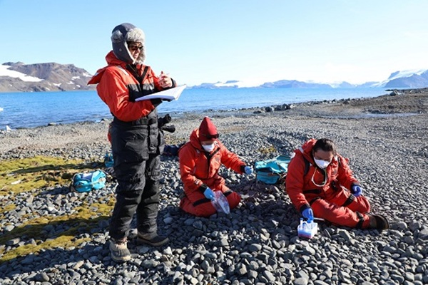 Programa da Fiocruz na Antártica dá início a nova etapa