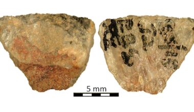 Flechas envenenadas de 60 mil anos mostram tática avançada de caça