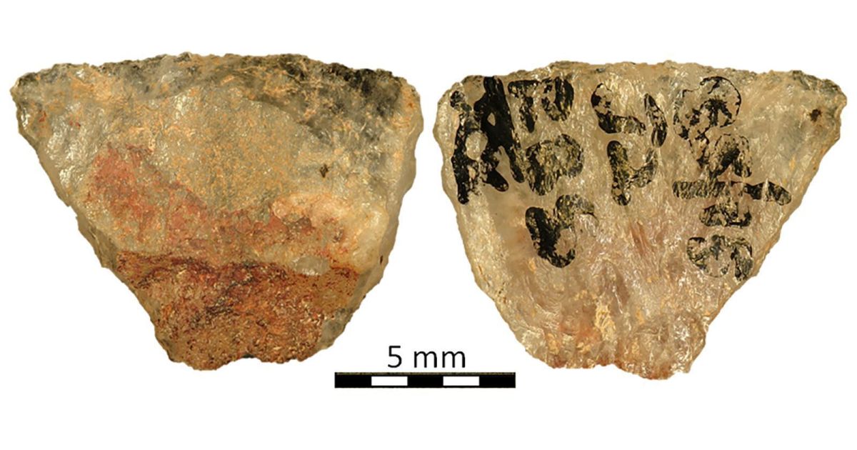 Flechas envenenadas de 60 mil anos mostram tática avançada de caça