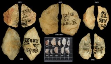 Flechas de 60.000 anos são as armas envenenadas mais antigas já descobertas