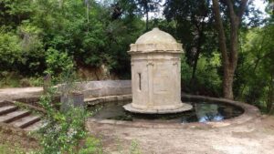 foto 3 mata charolinha tilinha