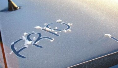 Coimbra enfrenta frio cortante. Prepare-se para este dia gelado – Notícias de Coimbra