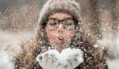 Eis os concelhos que vão enfrentar temperaturas negativas – Notícias de Coimbra