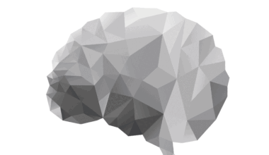 Dançar pode proteger mais o cérebro do que palavras cruzadas, diz especialista em longevidade