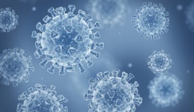 Imagem de um vírus no microscópio