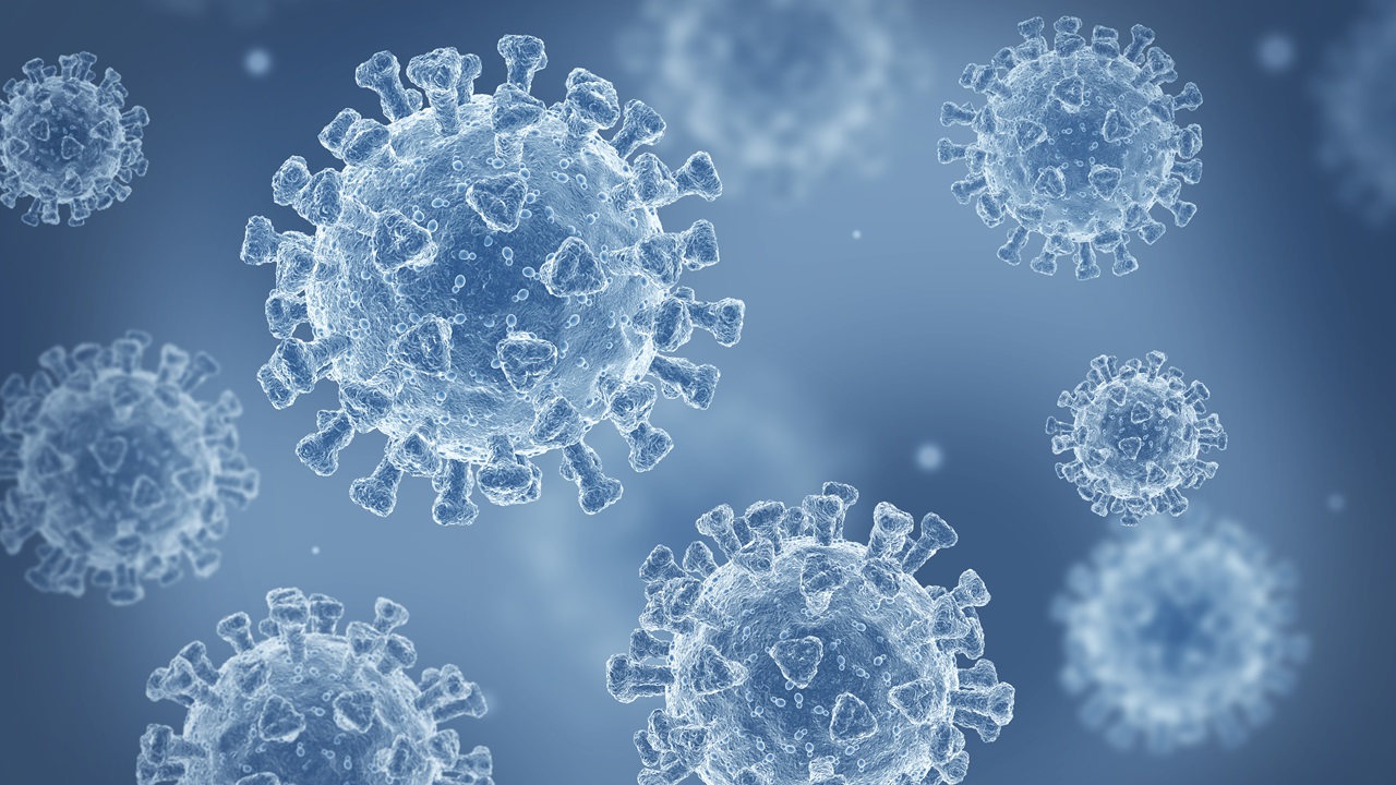 Imagem de um vírus no microscópio