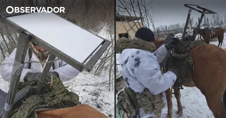 Rússia equipa cavalos com antenas Starlink – Observador