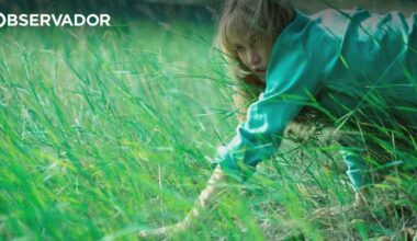 Jennifer Lawrence e o filme autodestroem-se – Observador