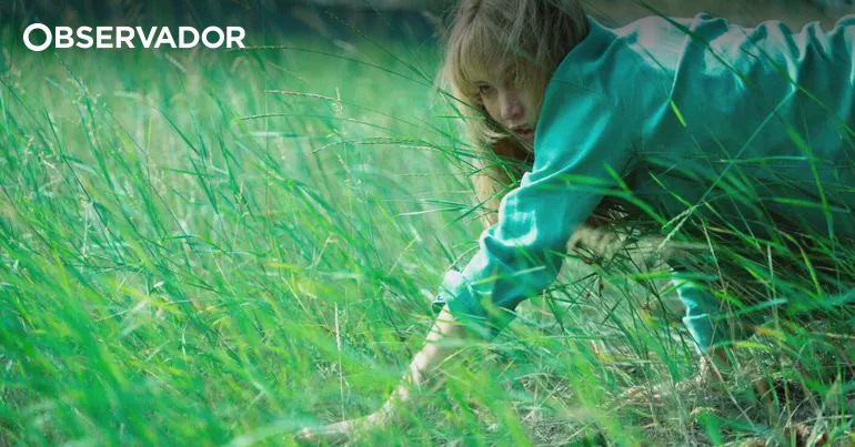 Jennifer Lawrence e o filme autodestroem-se – Observador