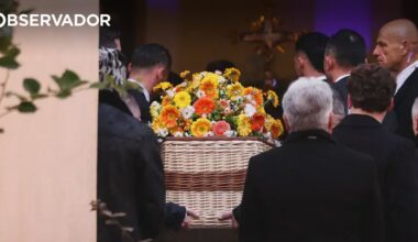 A última moda segundo B.B.? Uma urna de vime – Observador