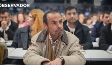 Nuno Morais Sarmento demite-se da presidência da FLAD – Observador