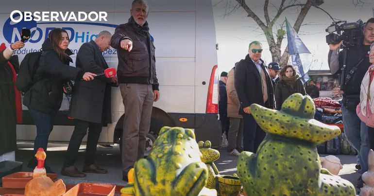 Contra sapos e croquetes, almirante vê Mendes "assustado" – Observador