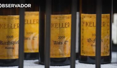 Os lesados da Oeno, a corretora de vinhos que colapsou – Observador