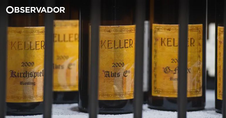 Os lesados da Oeno, a corretora de vinhos que colapsou – Observador