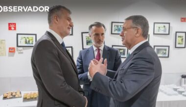 Sondagem. Seguro continua líder e Cotrim sobe para o pódio – Observador