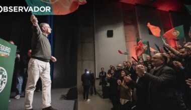 Seguro acrescenta um ovo à teoria dos cestos – Observador