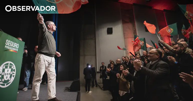 Seguro acrescenta um ovo à teoria dos cestos – Observador