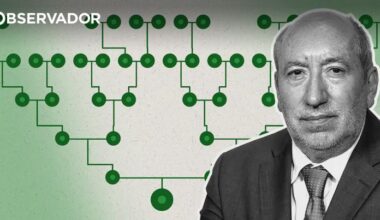 a árvore de António Filipe – Observador