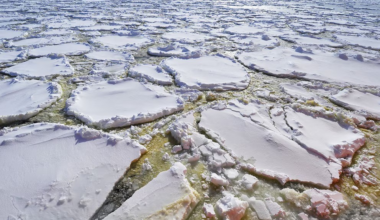 Terremotos no fundo do oceano podem impulsionar explosões de vida microscópica na Antártida
