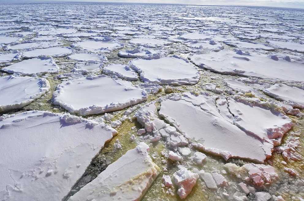 Terremotos no fundo do oceano podem impulsionar explosões de vida microscópica na Antártida
