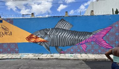 Projetos de arte urbana promovem oficinas gratuitas de grafitti em Soure, no Marajó
