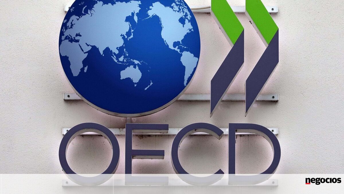 OCDE sugere ao Governo que deixe cair novas descidas de IRS e IRC e subidas de salários - Economia