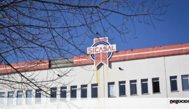 Sicasal decretada insolvente a pedido do BCP com 280 empregos em risco. Gestão nunca entregou documentos - Jornal de Negócios