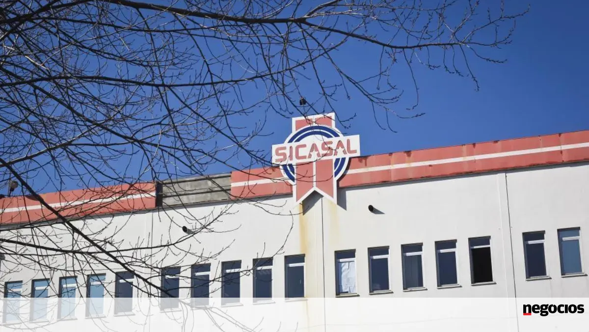 Sicasal decretada insolvente a pedido do BCP com 280 empregos em risco. Gestão nunca entregou documentos - Jornal de Negócios