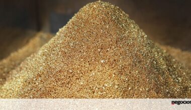 Cinco razões que levaram o ouro aos 5.000 dólares - Jornal de Negócios